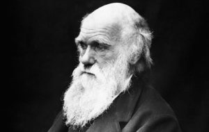 Portrait of Charles Darwin © J. Cameron